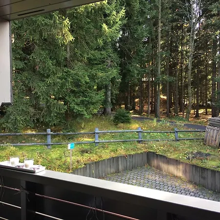 Apartmán Apartman - Resident B206 Harrachov